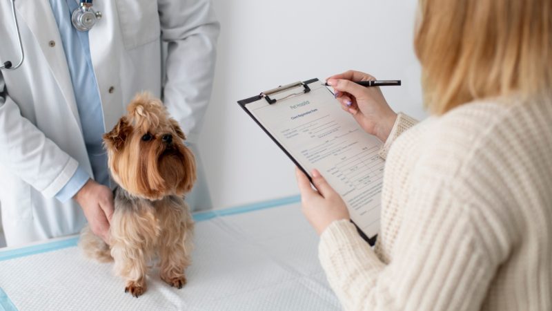 Quel service propose des analyses vétérinaires rapides près de chez soi ?